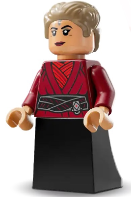 Minifig sw1290