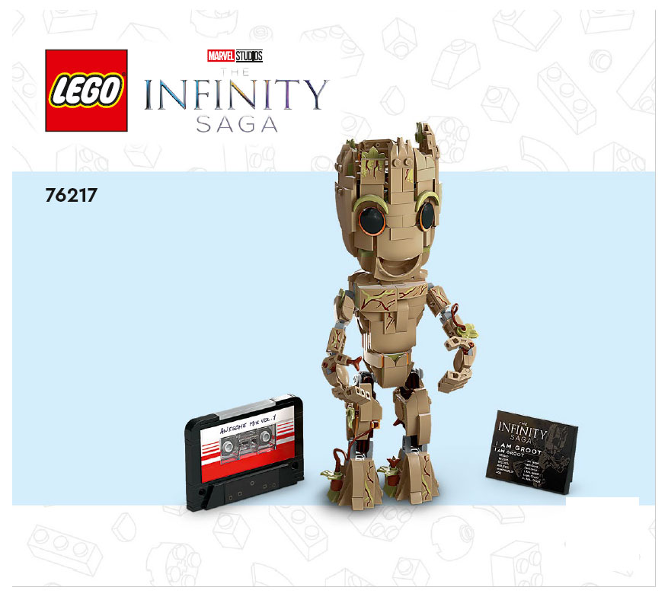 Instruction 76217-1