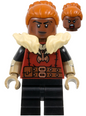 Minifig coldnd01