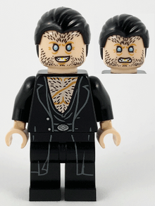 Minifig hp209