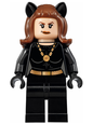 Minifig sh0241