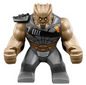 Minifig sh0507