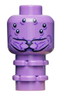 Minifig sh0754