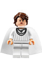 Minifig sw0249