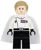 Minifig sw0781