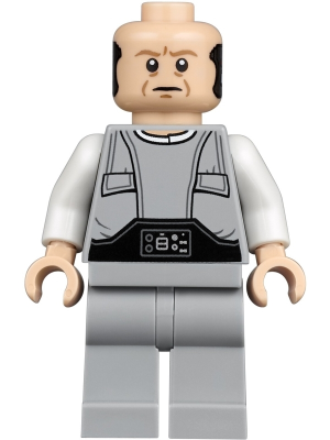 Minifig sw0974