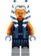 Minifig sw1096