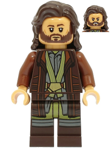Minifig sw1231