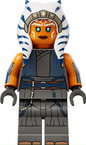 Minifig sw1300